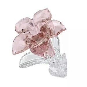 NWT Swarovski SCS 2021 African Desert Rose Pink Flower Crystal Figurine